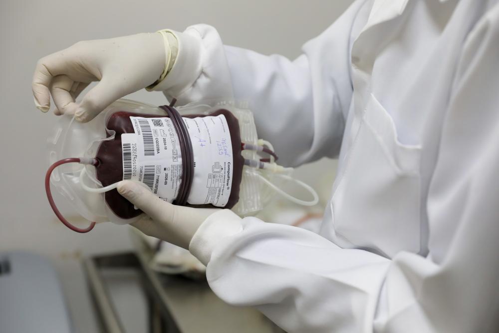 Capa da notícia: Hemocentro de Brasília e Fepecs lançam 2ª turma de curso on-line sobre transfusão de hemocomponentes